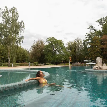 Balaton Skyline Penthouse - Jacuzzi - & Apartman *